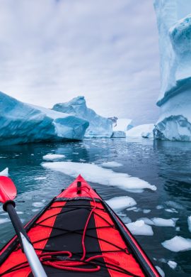 Kayaking in Antarctica between icebergs