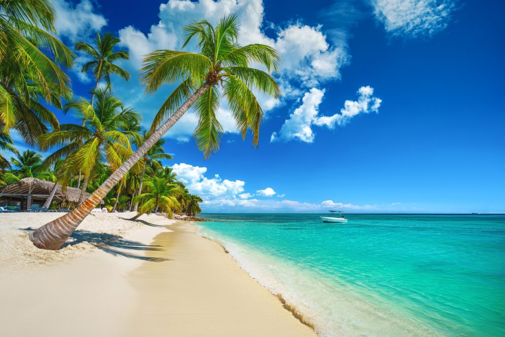 Tropical island beach shore with exotic palm trees, clear water of caribbean sea and white sand. Playa Bavaro, Saona, Punta Cana, Dominican Republic